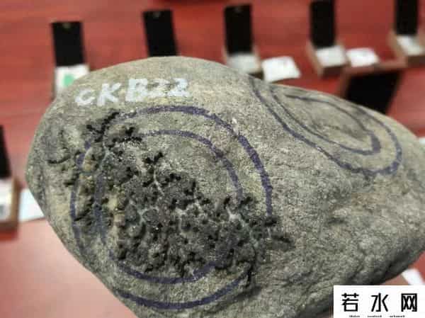 疯狂石头,“疯狂的石头”能“一本万利”？