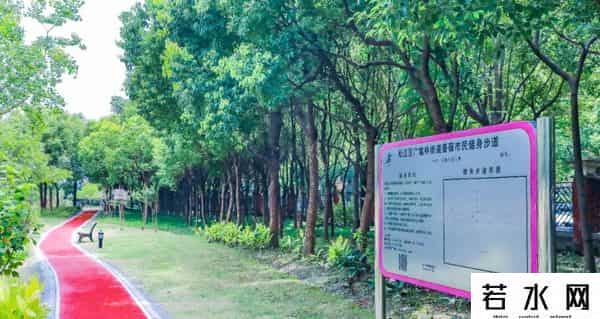 蔷薇九里,松江又添一条滨水健身步道，散步、吸氧、赏景……走起