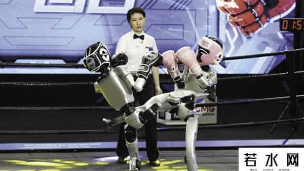 打架机器人,机器人“打架”，猛和可爱