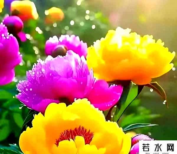 暴走大事件8,退休阿姨参加暴走团八天,回家进不了门,儿子冷笑,让你走个痛快