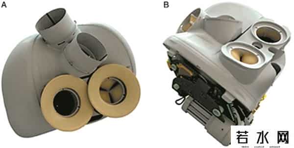 再生时代,“器官再生时代”离我们有多久?
