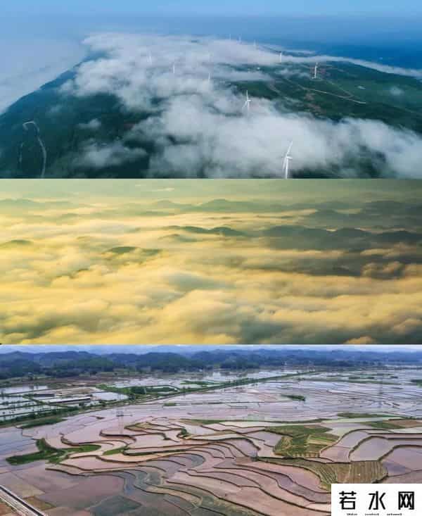 稻田丽森,太美,齐岳山风光在《人民日报》头版刊发