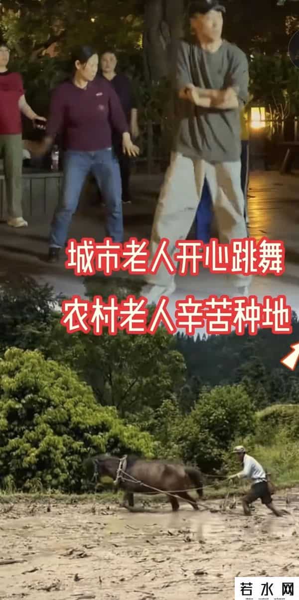 开心农民,如何让老农民过上幸福快乐的生活?