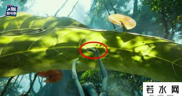 soso哼唱,《阿凡达2》新预告万字解析！诸多细节脑洞全片剧情