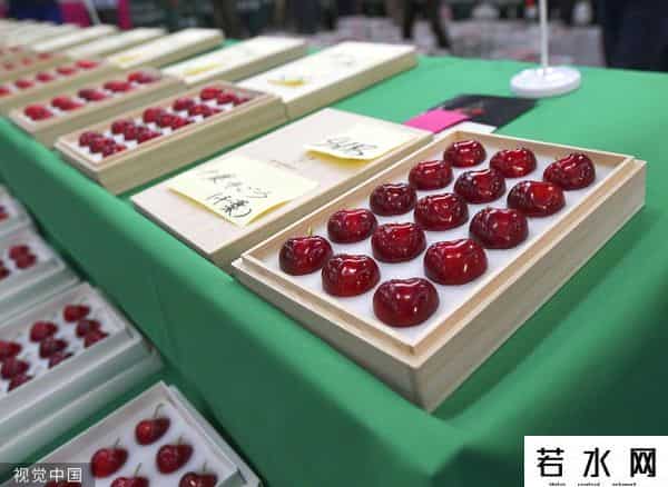多贵,一颗樱桃能多贵？日媒：日本青森拍出约1980元人民币天价樱桃
