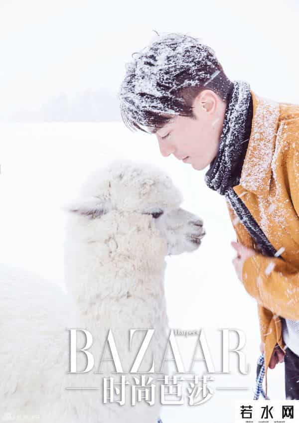 作死直播间,网络直播是很火 但直播“作死”算几个意思?