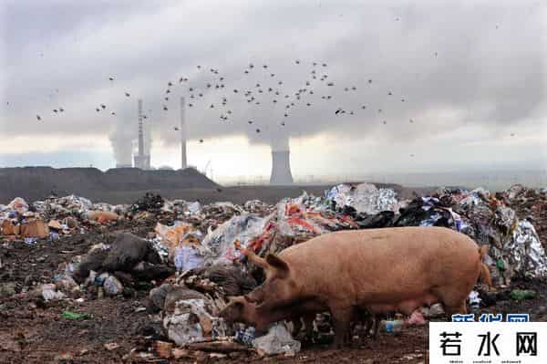 世界毁灭,15000名科学家联合声明：世界可能这样毁灭