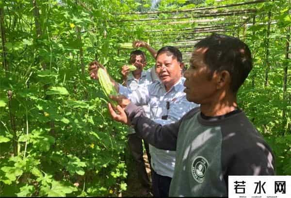 印尼金光,大唐印尼金光公司首获“亚洲最佳雇主企业”贡献大奖