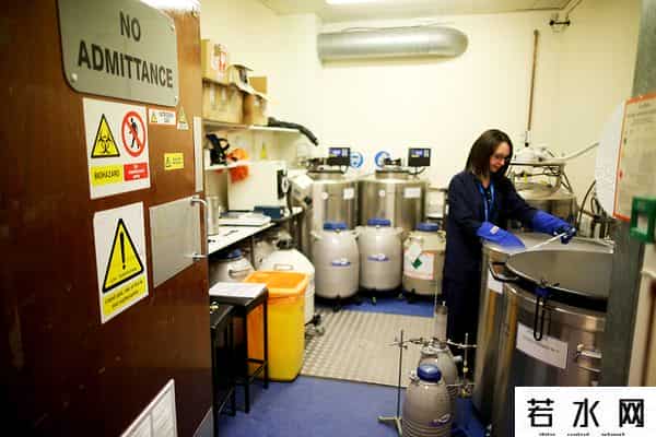 人类精子库,「图集」精子掀起“涨价潮”：镜头下的全球人类精子库