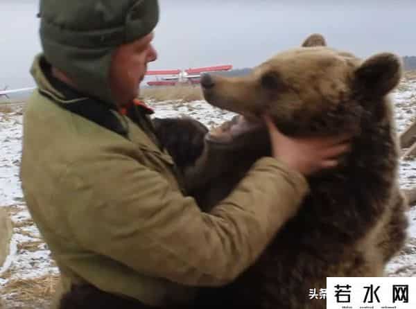 qq宠物熊熊,熊熊误入大学引大学生围观,网友:被麻醉枪射落的熊熊太可爱了!