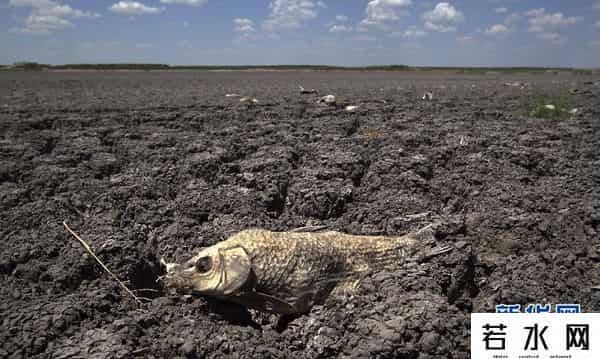 世界毁灭,15000名科学家联合声明：世界可能这样毁灭