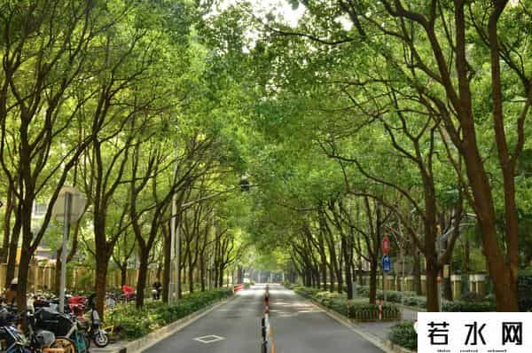 古北中央花园,古北,还留得住人吗?