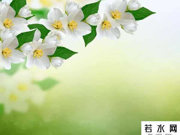 牛牛热视频,嫂子给小叔子喝鹿血汤,他夜里觉得热,起身看见她房间亮着灯