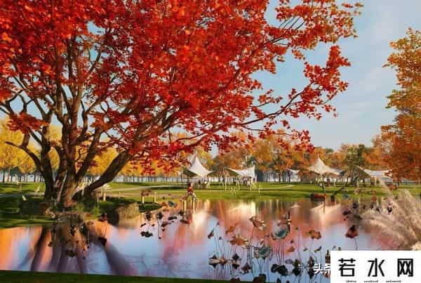 王巍然,武汉新城未来湾项目,打造为农文旅融合示范点,武汉新城新地标。