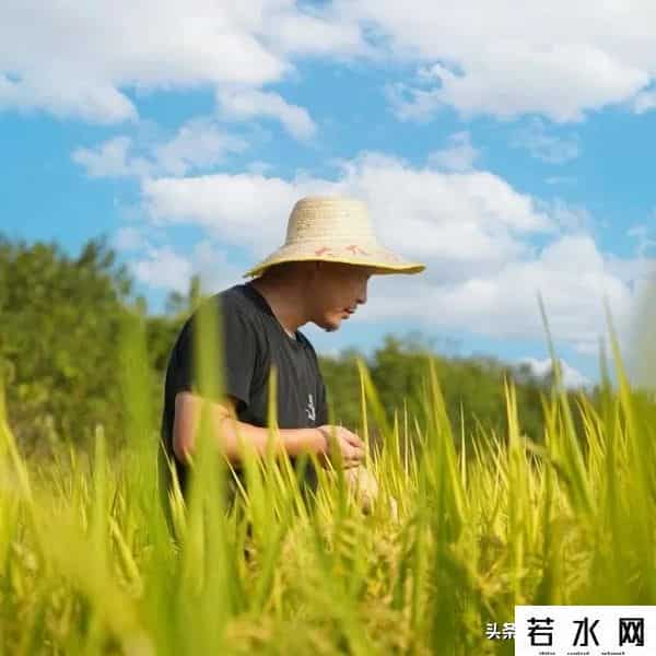 王巍然,武汉新城未来湾项目,打造为农文旅融合示范点,武汉新城新地标。