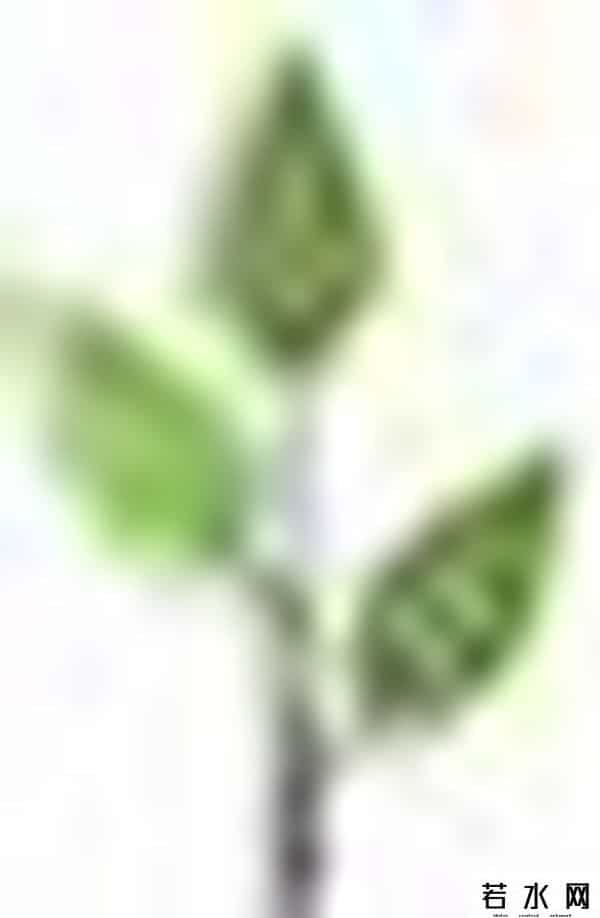 魔豆皮,关注丨国标出台在即 盐津铺子提前布局辣条行业