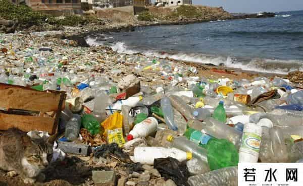 漂浮大陆,世界“第八大陆”,太平洋垃圾带,那么多垃圾哪里来的?