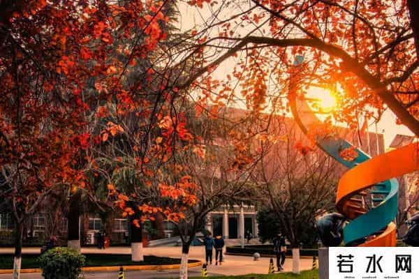 新新论坛,点赞!西安交大这个学院为5省19个部门制订发展规划!