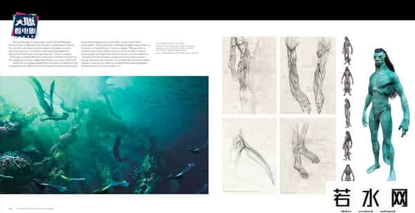 soso哼唱,《阿凡达2》新预告万字解析！诸多细节脑洞全片剧情