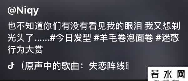 猫扑图片,网友烫头失败大赏,看完差点笑岔气了哈哈哈哈哈哈