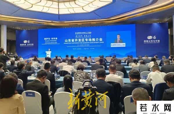 泰森食品,泰森食品大中华区总裁刘筱玲：从山东的经济发展看到中国经济的韧性 - “大家”说峰会