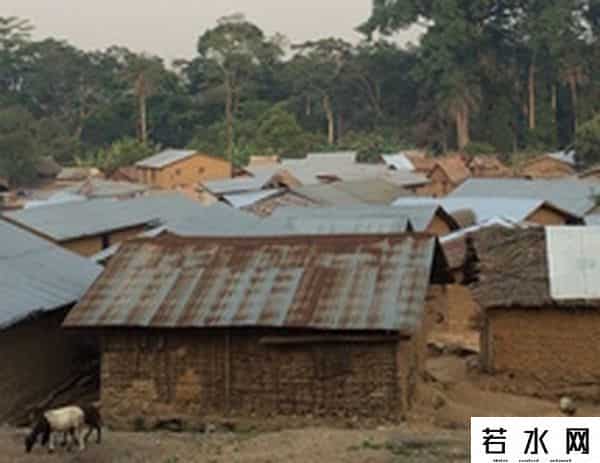 vice中国,VICE 文章