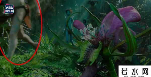 soso哼唱,《阿凡达2》新预告万字解析！诸多细节脑洞全片剧情