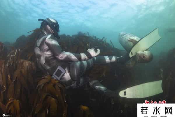 joost,摄影师捕捉人与海豹同游嬉戏画面