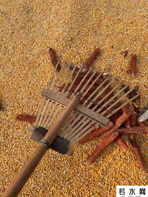 名还行营销,生活中的品牌和营销｜瞎聊聊呗