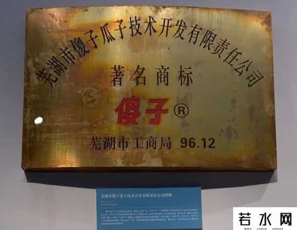 傻子瓜子,“四史”关键词｜邓小平为什么三次提到“傻子瓜子”？