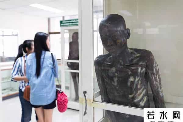 可怕的广东人,真实事件改编电影:一个胆小的广东人,是如何变成食人魔的?