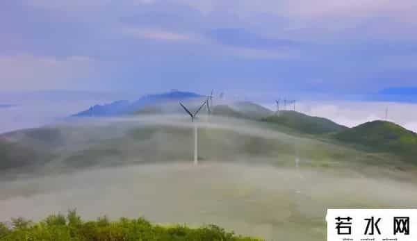 稻田丽森,太美，齐岳山风光在《人民日报》头版刊发