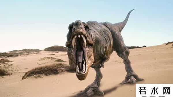 恐龙世纪,恐龙世纪长达数千万年，据说一颗上百公里的陨石将此毁于一旦