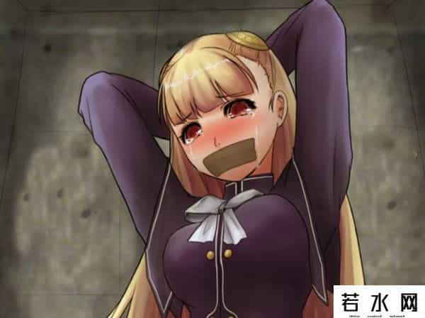 rom传人,CAPCOM深度埋藏的秘密,街霸未启用素材,名将忍者是武神流传人