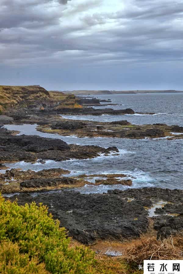 woola,放慢脚步游澳洲（4）企鹅岛，我和自然有个约定