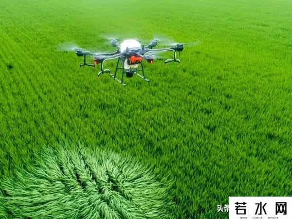 王巍然,武汉新城未来湾项目,打造为农文旅融合示范点,武汉新城新地标。