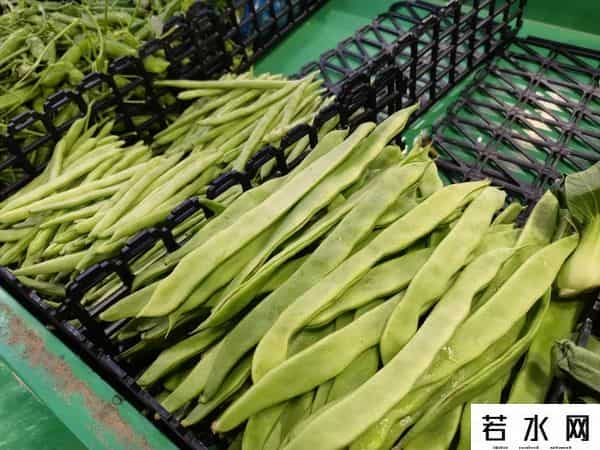 易小鲜,春节买菜不用担心，听说杨浦这些地方平价肉菜管够