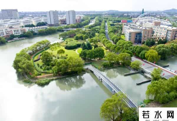 蔷薇九里,松江又添一条滨水健身步道，散步、吸氧、赏景……走起