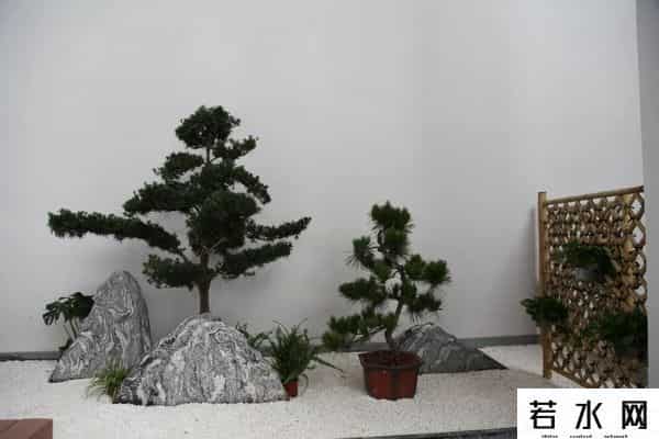 好利德,静教院附校新校区探访:这是一所“有灵魂”的校园