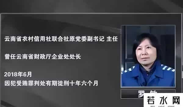 罗敏,美女贪官罗敏落马记