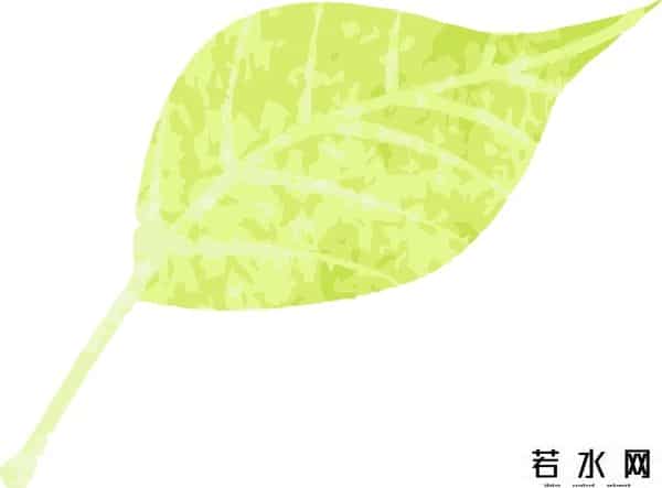 品一口,春江水暖,鲚鱼正鲜,来宝山这里品一口地道春味~