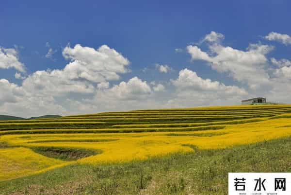 发现旅行,高原之上,金黄一隅教我发现旅行的意义