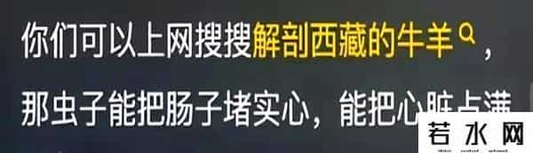 真的需要水,藏!区清澈的水有多恐怖?网友贝爷敢喝亚马逊生水却不敢喝西藏的