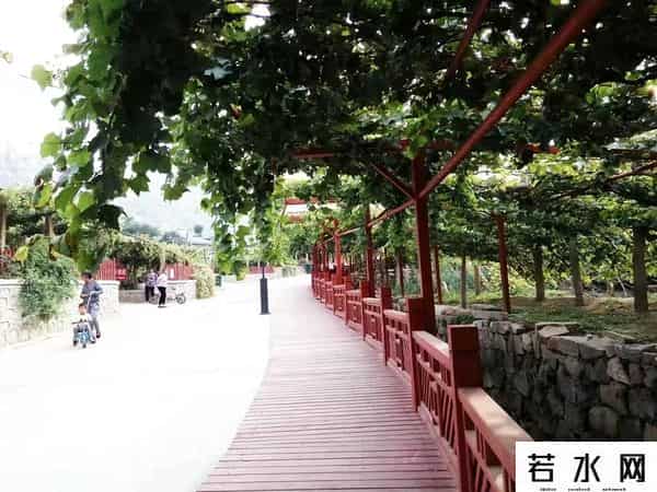 张克凡,「 锦绣昌黎 」 葡萄熟了 葡园等你