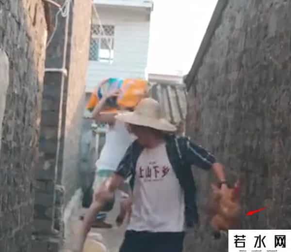 漠叔,漠叔：琼系军阀称霸农村，狗见了都得挨巴掌，真实身份反黑警察？