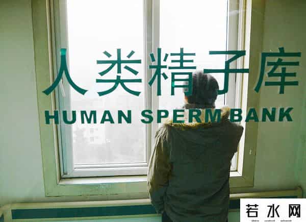 人类精子库,「图集」精子掀起“涨价潮”：镜头下的全球人类精子库