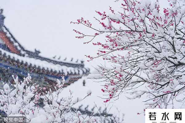 玩蟹科技,梅花香自苦寒来,吴世春:我再也不投那些光环