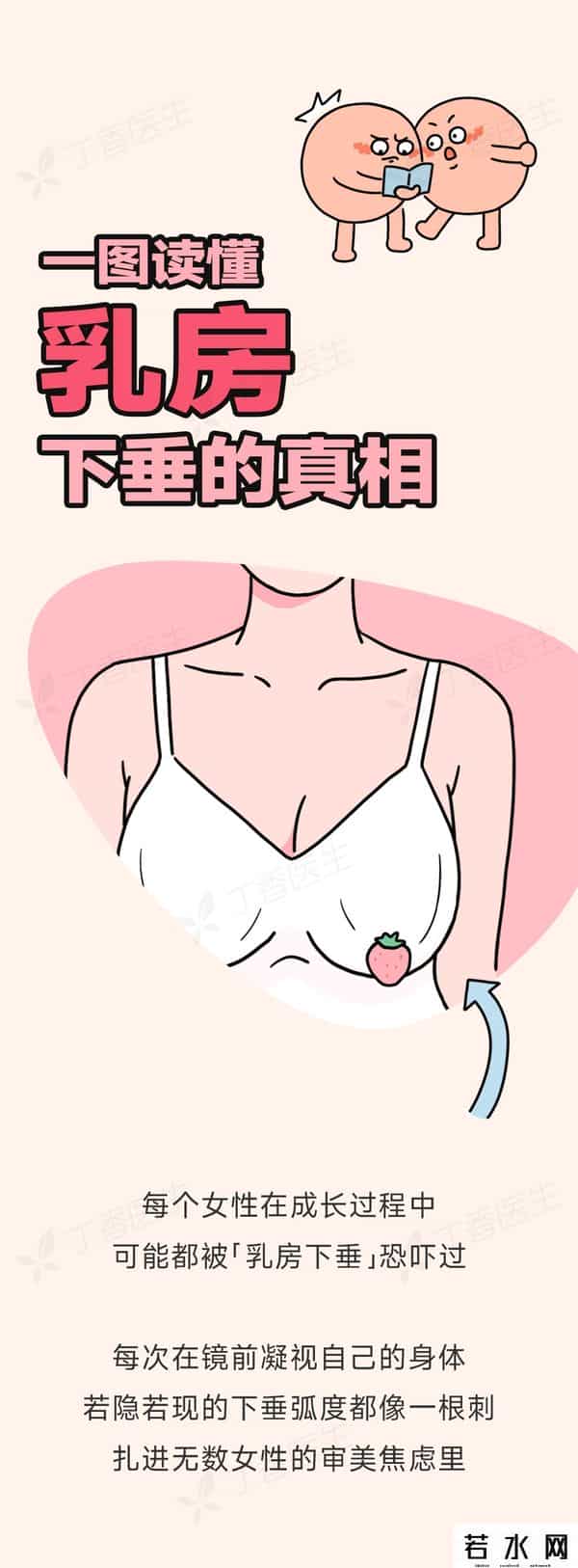 不穿内衣,长期不穿内衣,乳房会下垂吗?