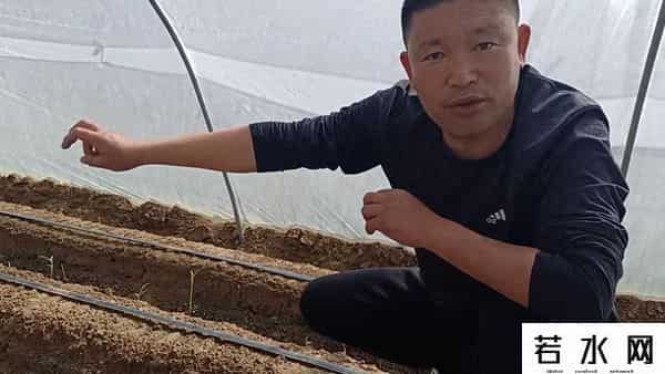 谁用谁知道,谁用谁知道