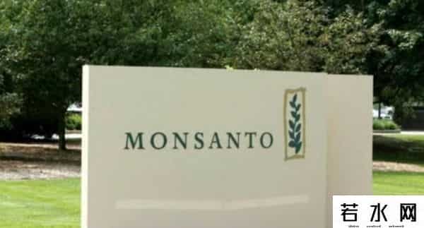 孟山都,争议缠身的孟山都,是天使还是魔鬼?